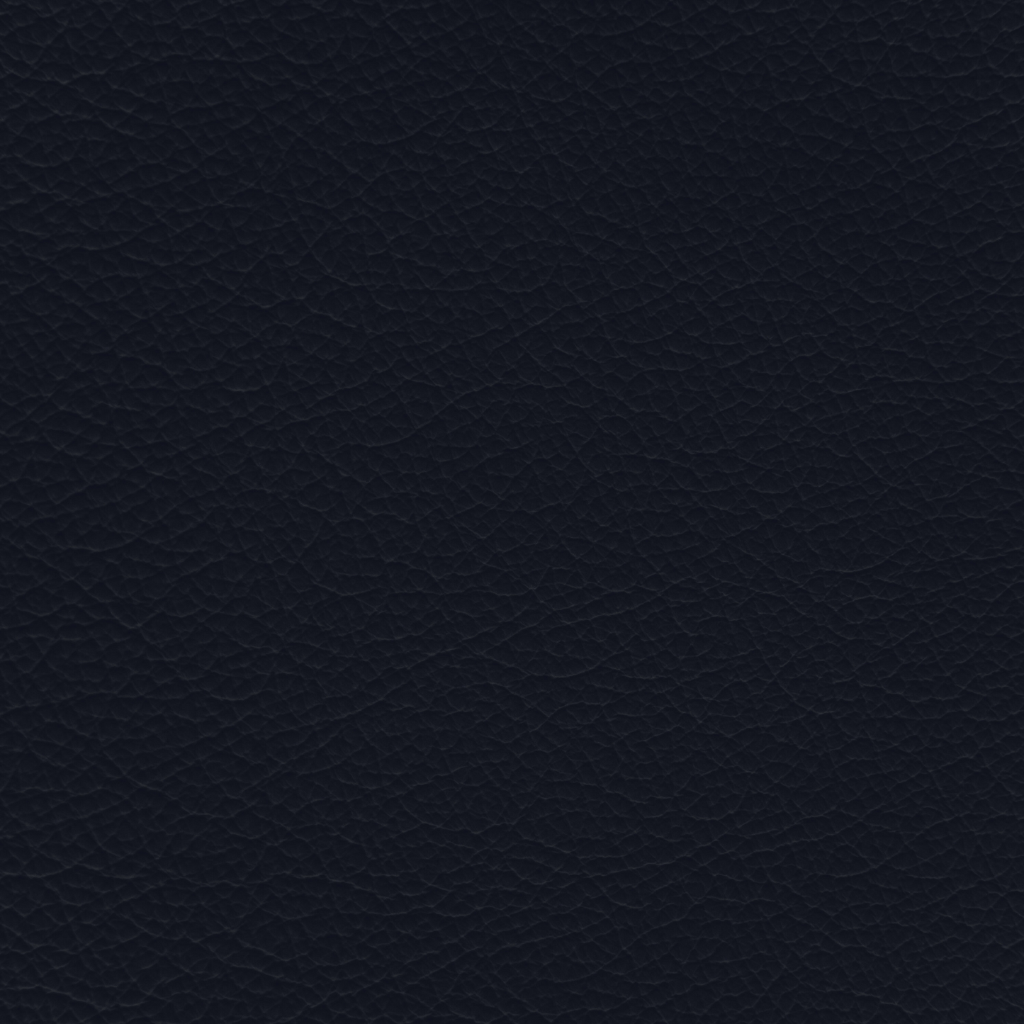 Hyundai Indigo Blue Leather Dye