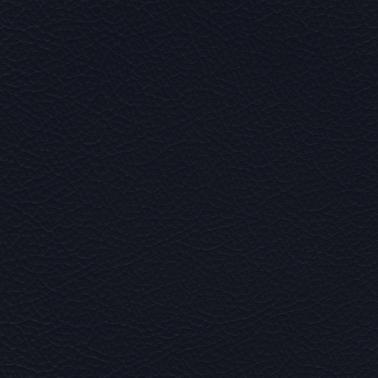 Hyundai Indigo Blue Leather Dye