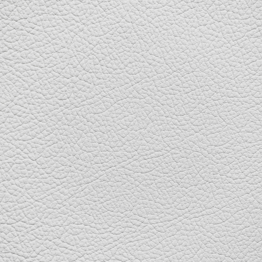 Mercedes Ivory White Leather Dye