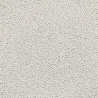 Jaguar Ivory Leather Dye