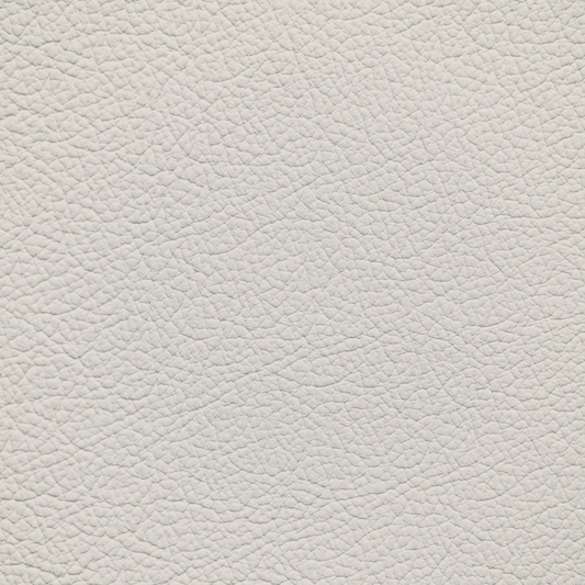 Jaguar Ivory Leather Dye