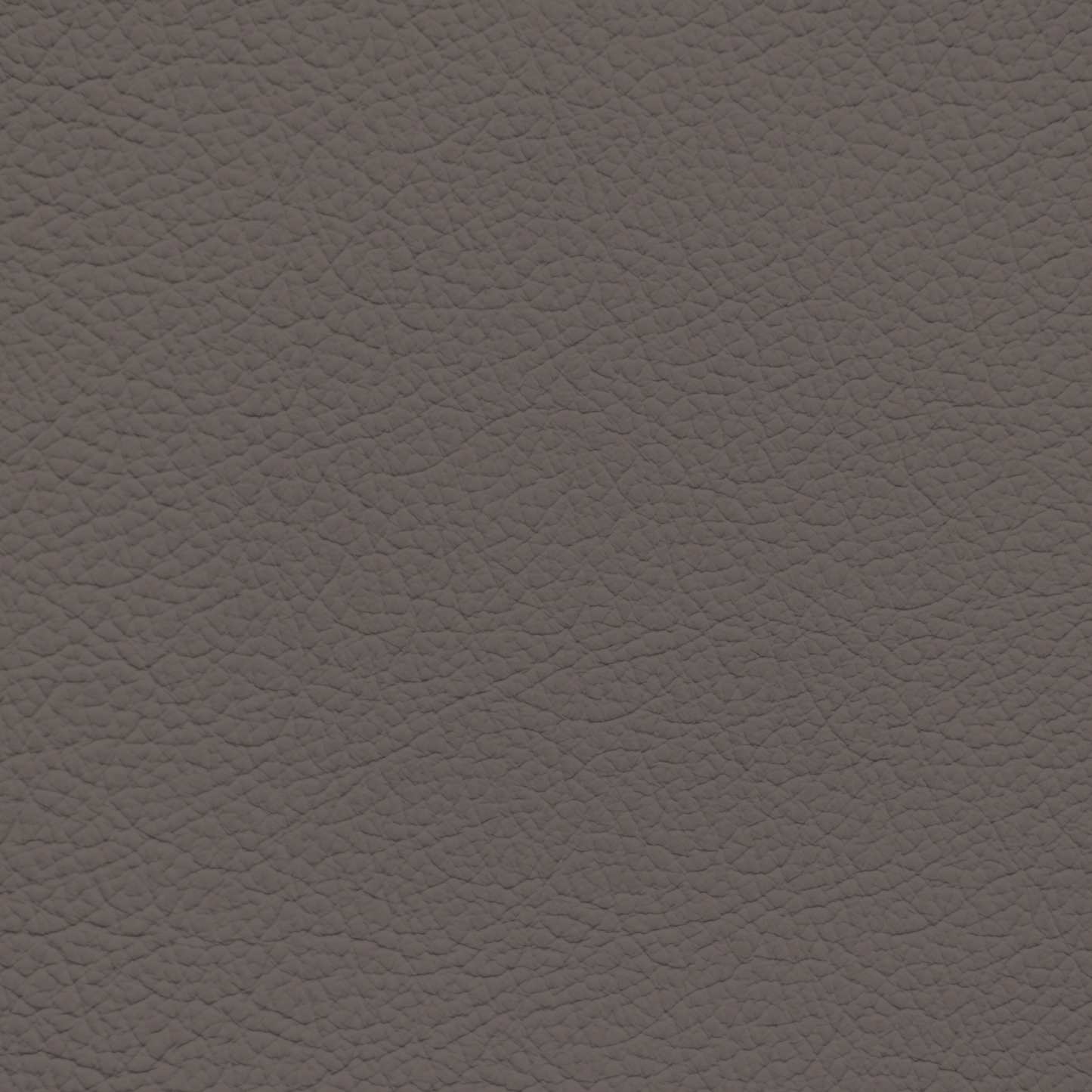 Lexus Ivory(06) Leather Dye