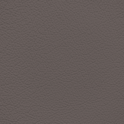 Lexus Ivory(06) Leather Dye