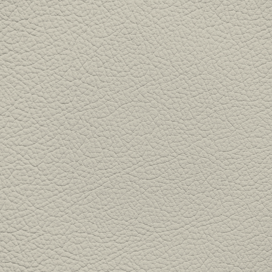 Lexus Ivory(375) Leather Dye
