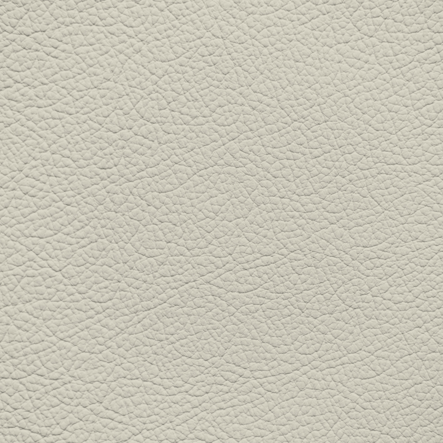 Ford/Lincoln/Mercury Ivory Leather Dye