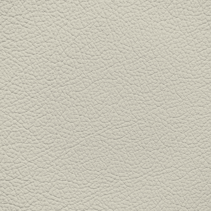 Ford/Lincoln/Mercury Ivory Leather Dye