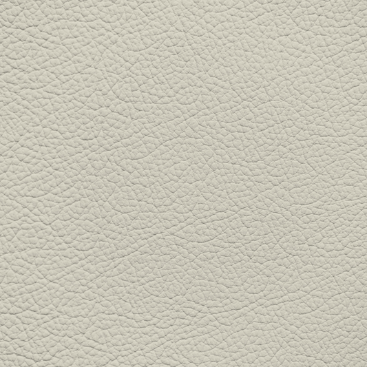 Ford/Lincoln/Mercury Ivory Leather Dye