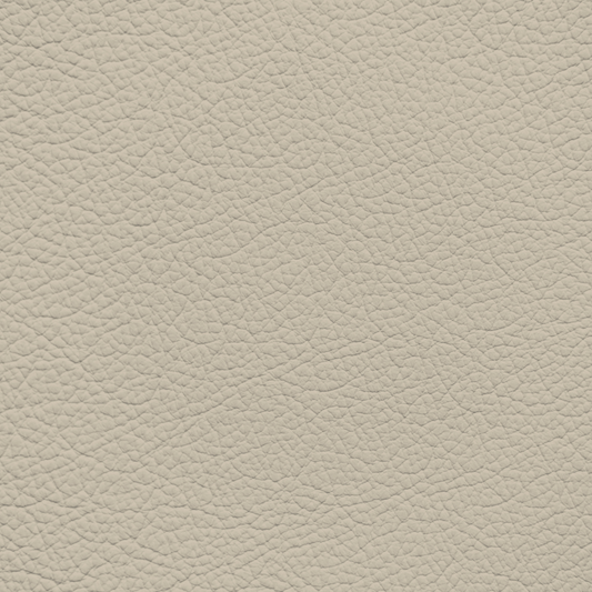 Jaguar Ivory, Cirrus Leather Dye