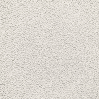Maserati Ivory Leather Dye
