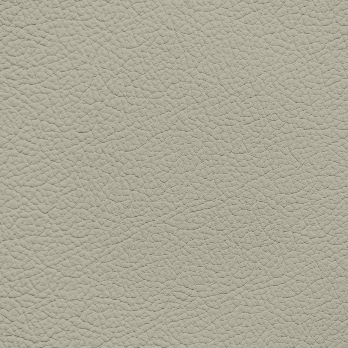 Subaru Ivory Leather Dye