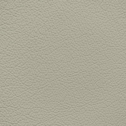 Subaru Ivory Leather Dye