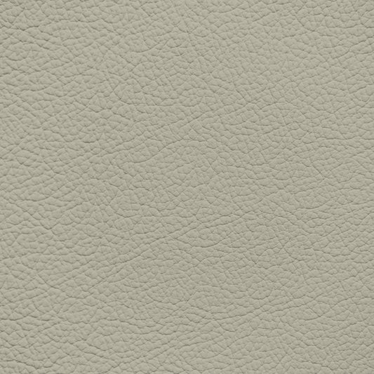 Subaru Ivory Leather Dye