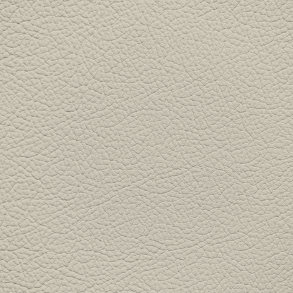 Land Rover Range Rover Ivory Leather Dye