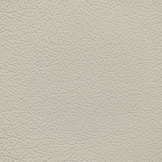 Land Rover Range Rover Ivory Leather Dye