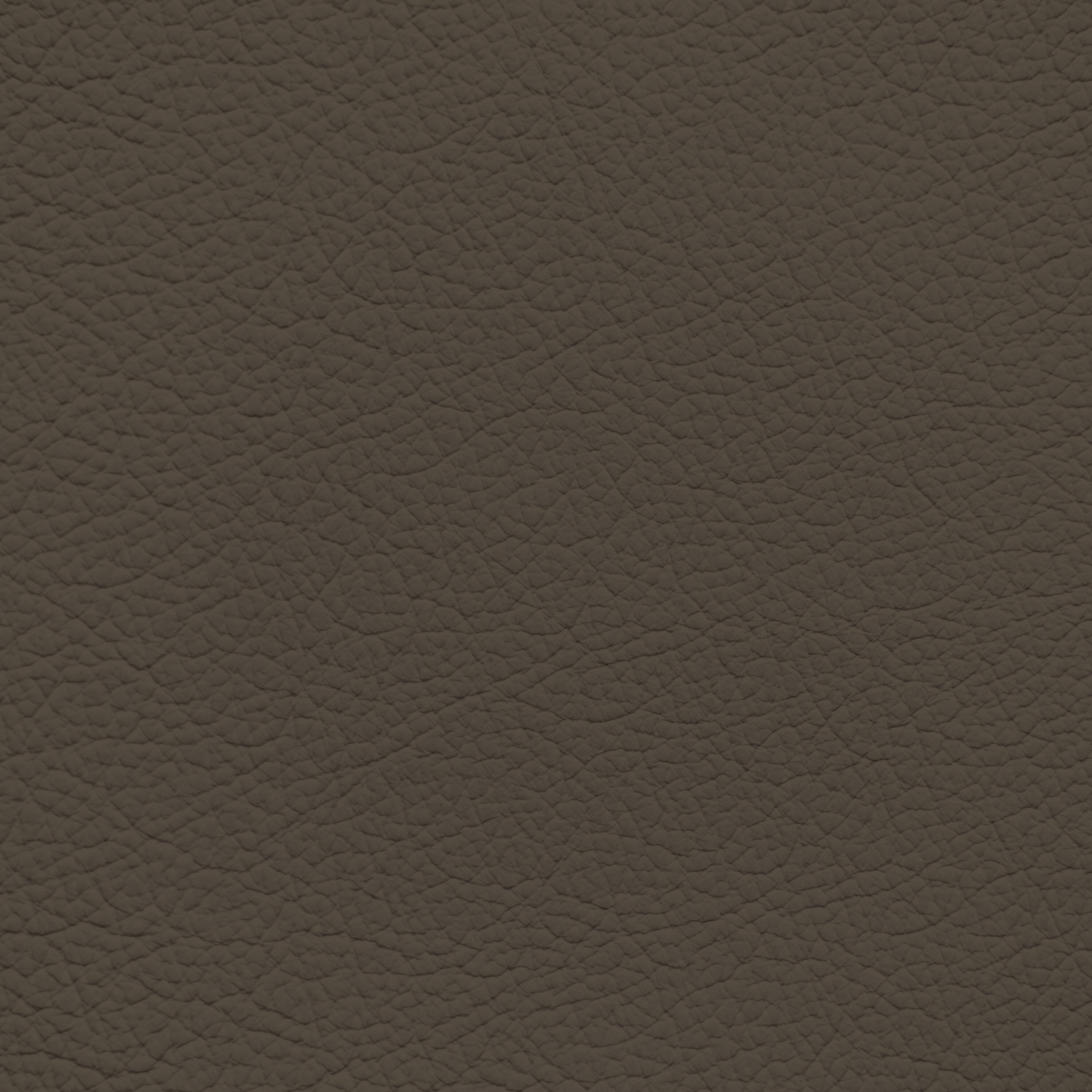 Ford/Lincoln/Mercury Java Leather Dye – Leather World Technologies