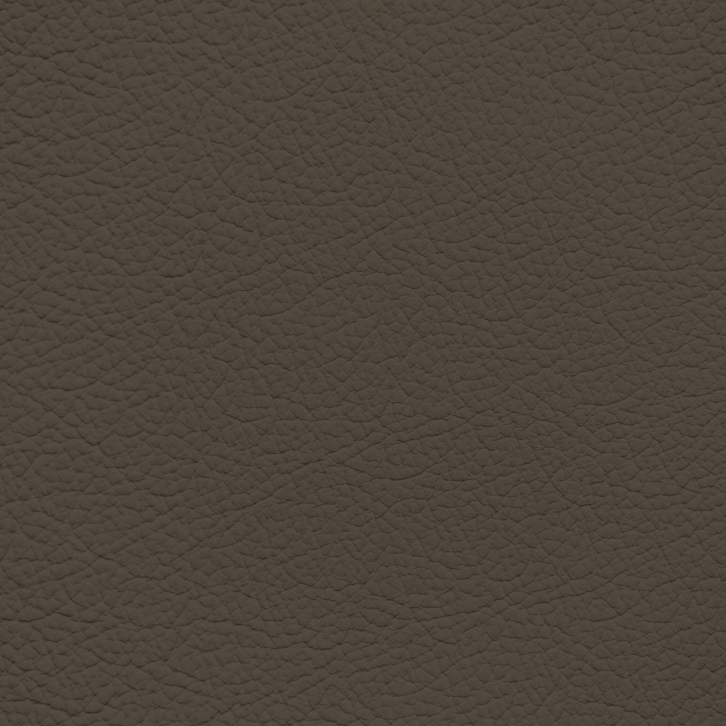 Ford/Lincoln/Mercury Jave Leather Dye