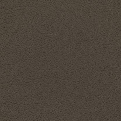 Ford/Lincoln/Mercury Jave Leather Dye