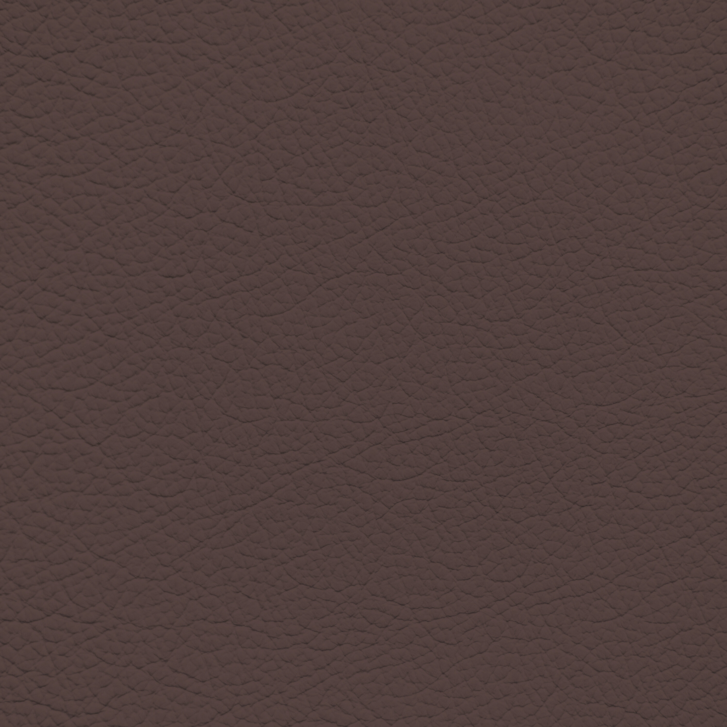 Nissan Java Leather Dye