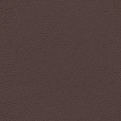 Nissan Java Leather Dye
