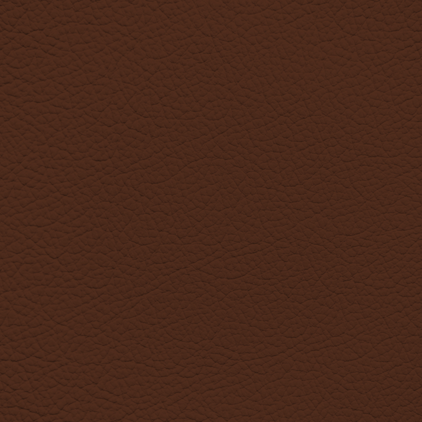 Ford King Ranch Chaparral Leather Dye