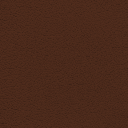 Ford King Ranch Chaparral Leather Dye