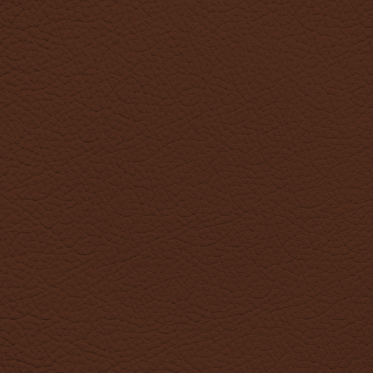 Ford King Ranch Chaparral Leather Dye