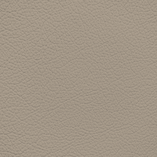 Porsche Kalk Beige Leather Dye