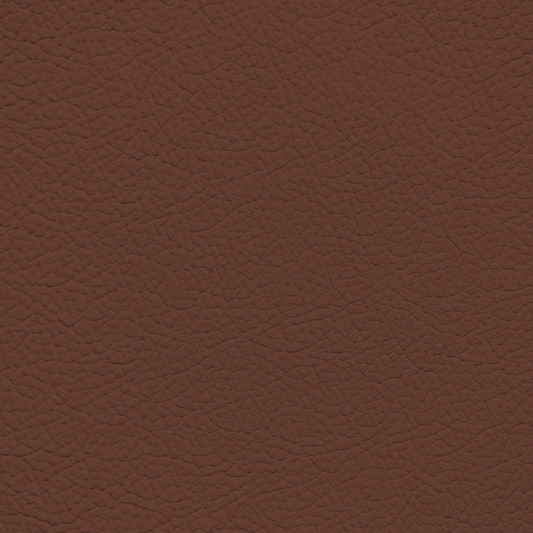 Ford/Lincoln/Mercury King Ranch Red Leather Dye