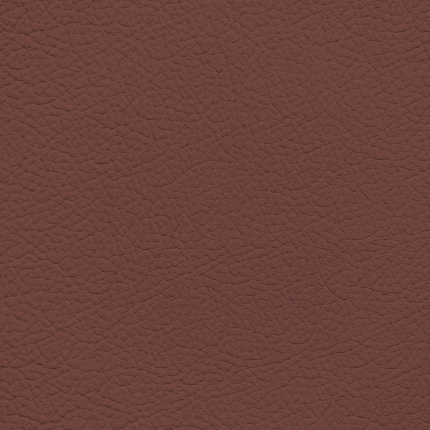 Ford King Ranch Red Leather Dye