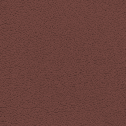 Ford King Ranch Red Leather Dye