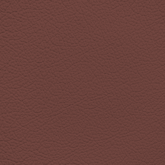 Ford King Ranch Red Leather Dye