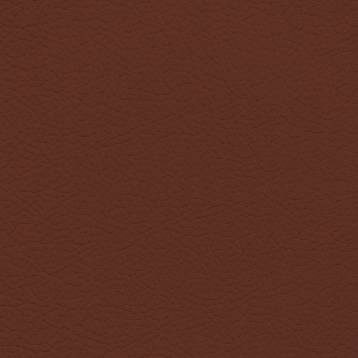 Ford/Lincoln/Mercury Kingville Leather Dye