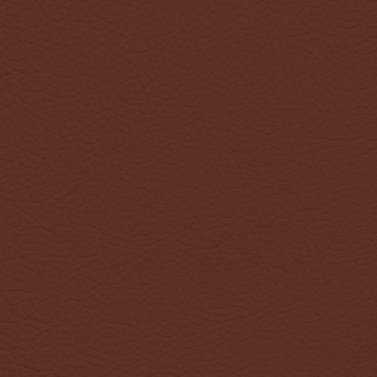 Ford/Lincoln/Mercury Kingville Leather Dye
