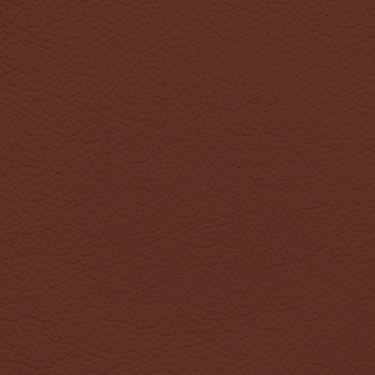 Ford/Lincoln/Mercury Kingville Leather Dye