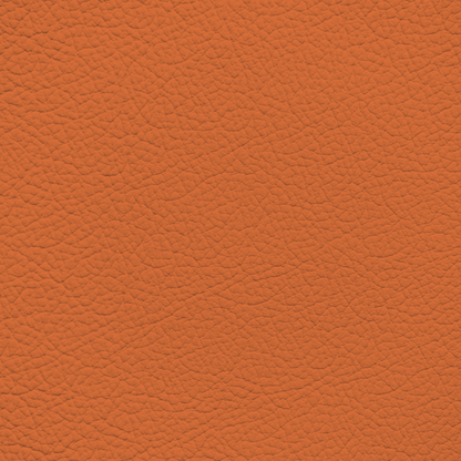 BMW Kyalami Orange Leather Dye