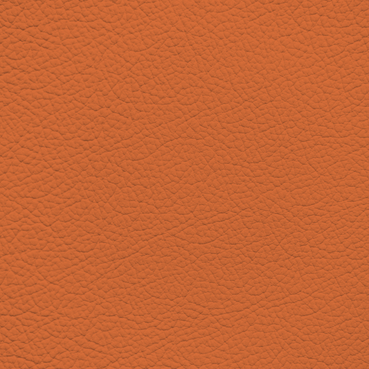 BMW Kyalami Orange Leather Dye