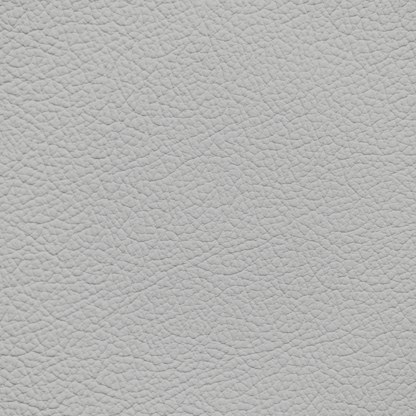 Mercedes Light Ash Leather Dye