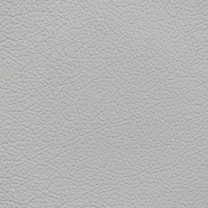 Mercedes Light Ash Leather Dye