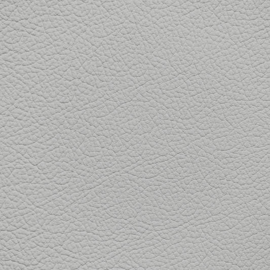 Mercedes Light Ash Leather Dye
