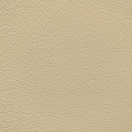 Mercedes Light Beige Leather Dye