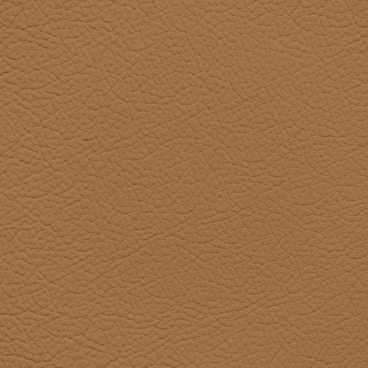 BMW Light Brown Leather Dye – Leather World Technologies