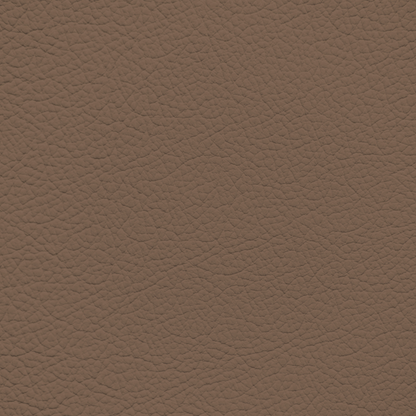 Infiniti Light Brown Leather Dye