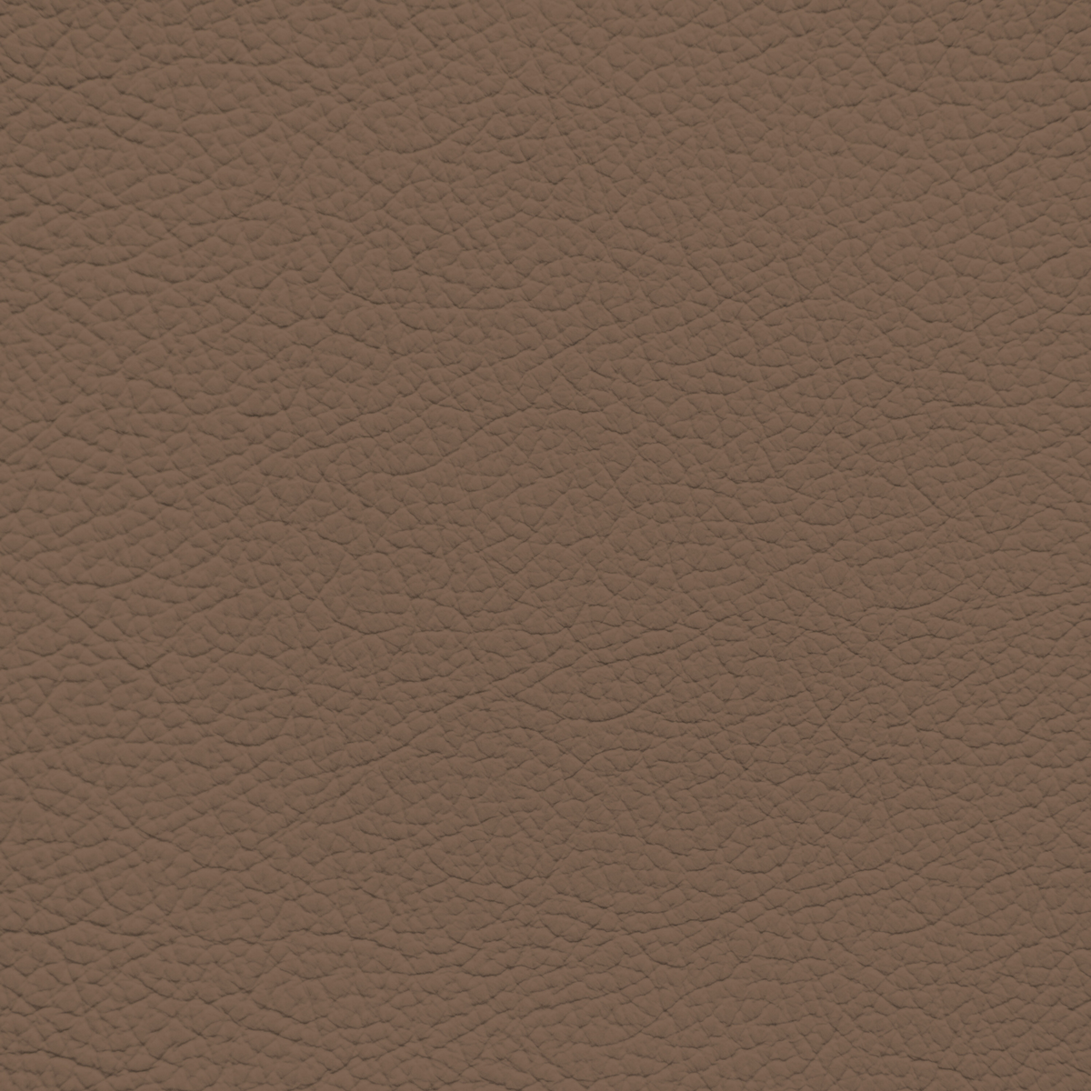 Nissan Light Brown Leather Dye – Leather World Technologies