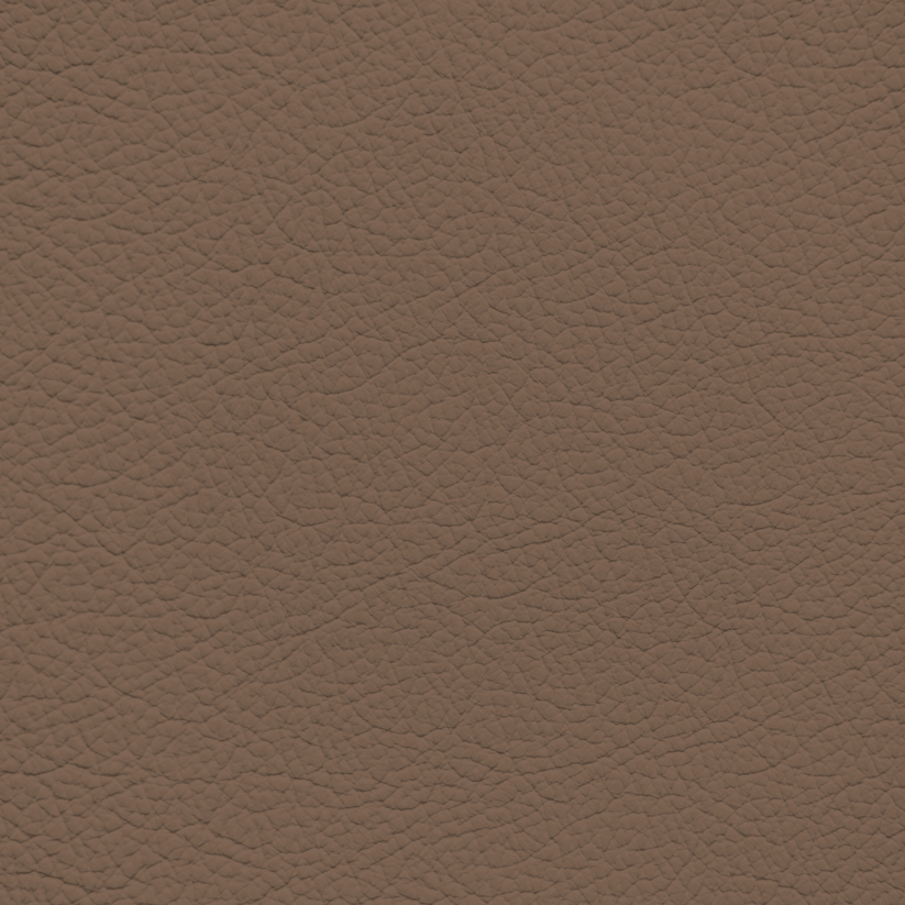 Nissan Light Brown Leather Dye – Leather World Technologies