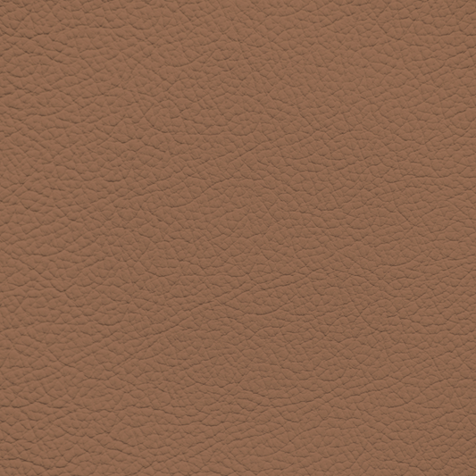 Mercedes Light Brown Leather Dye