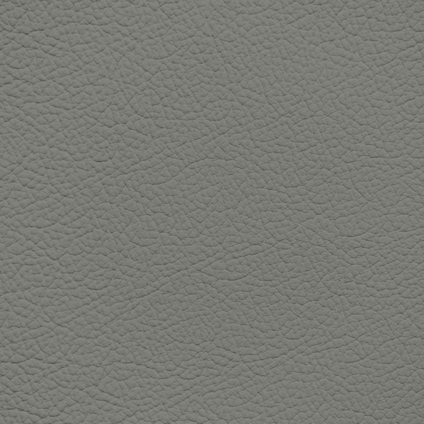 Ford/Lincoln/Mercury Light Cactus Leather Dye