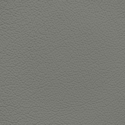 Ford/Lincoln/Mercury Light Cactus Leather Dye