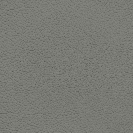 Ford/Lincoln/Mercury Light Cactus Leather Dye
