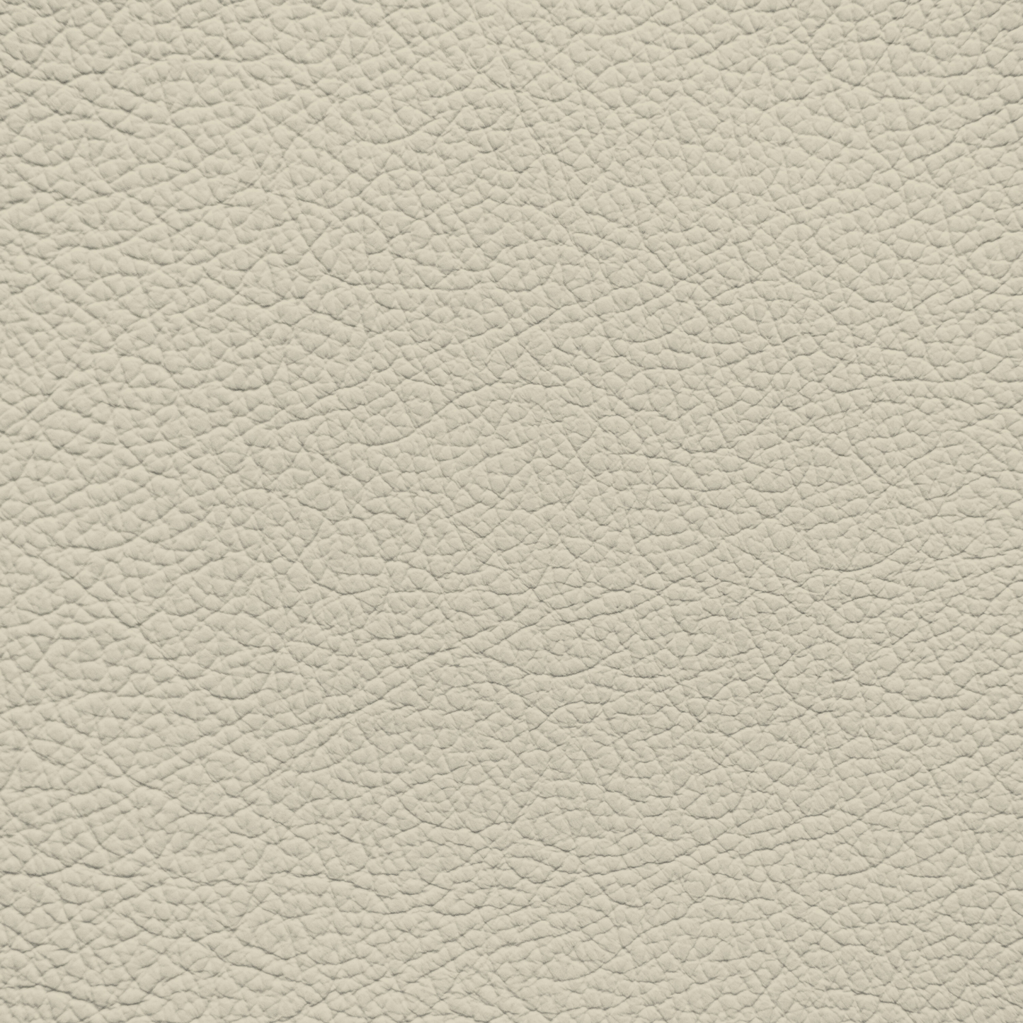Ford/Lincoln/Mercury Light Camel Leather Dye