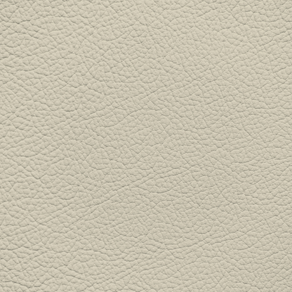 Ford/Lincoln/Mercury Light Camel Leather Dye
